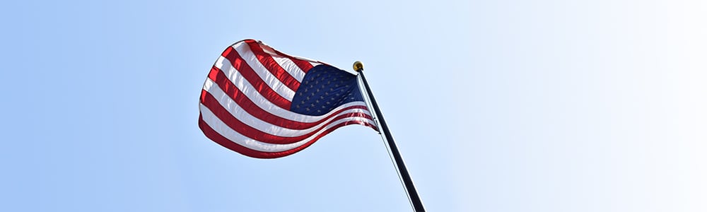 Flag of US