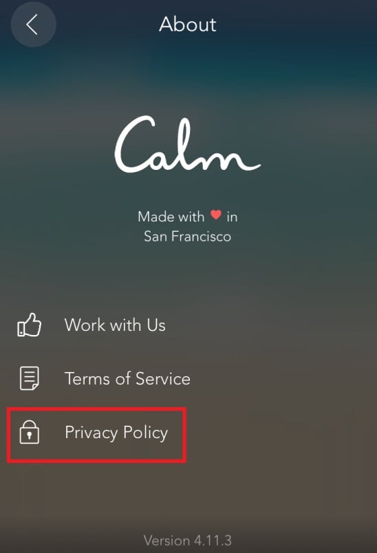 Privacy Policy for iOS Apps - Free Privacy Policy