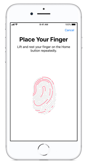 Apple Support: Screenshot of Touch ID fingerprint