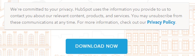 HubSpot eBook download form: Privacy Policy link section