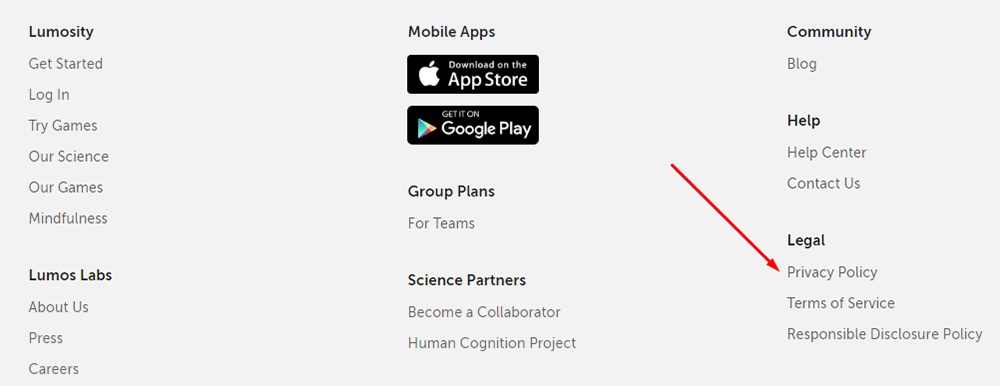 Luminosity website footer with Privacy Policy link highlighted