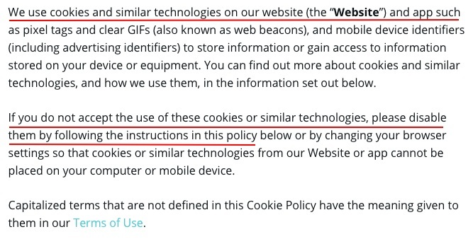 Canva Cookies Policy introduction clause