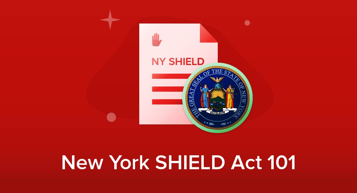 New York SHIELD Act 101