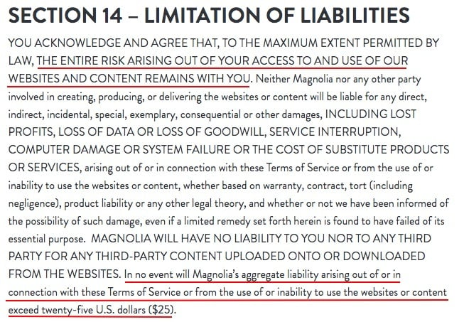 Magnolia Terms of Service: Limitation of Liability clause