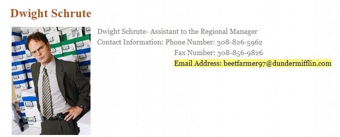 Dunder Mifflin Scranton Branch: Dwight Schrute bio with email address highlighted