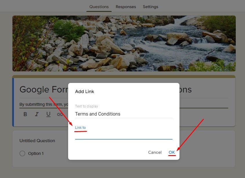 FreePrivacyPolicy Google Forms: Add Terms and Conditions link dialog box with Link to and OK options highlighted