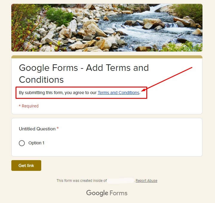 FreePrivacyPolicy Google Forms with Terms and Conditions link: Screenshot of the preview