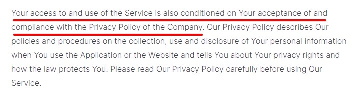 IdeaPunch Terms and Conditions: Privacy Policy clause