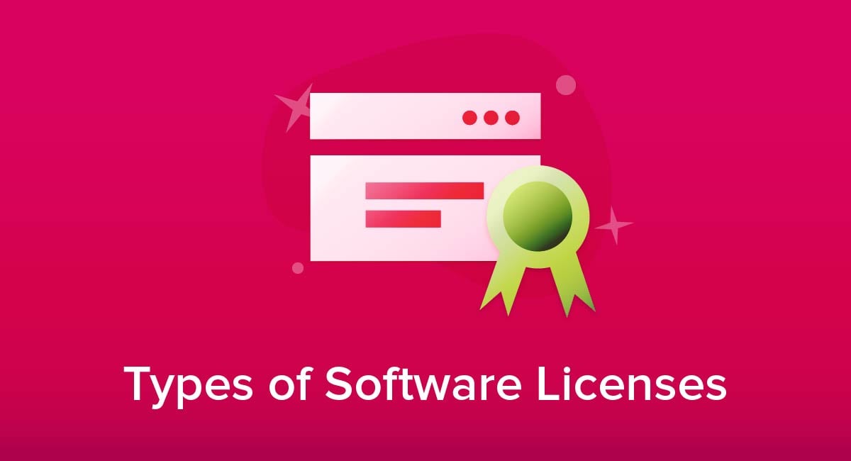 Types of Software Licenses