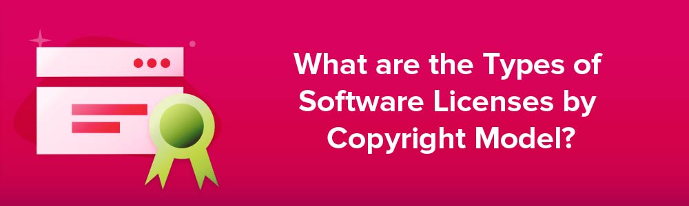 What are the Types of Software Licenses by Copyright Model?