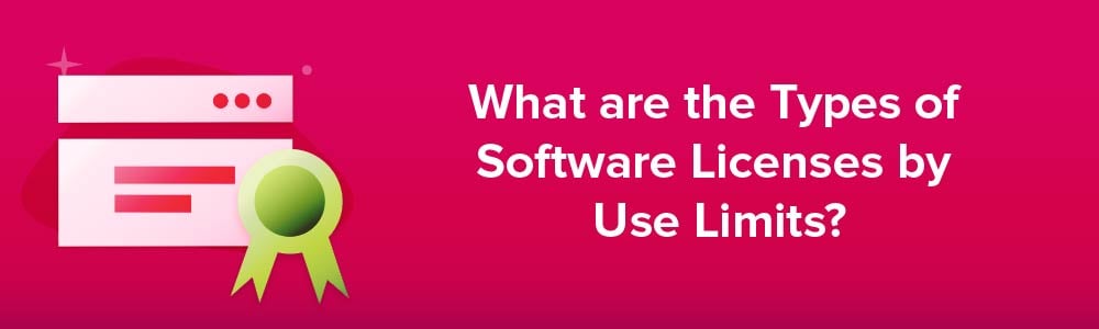 What are the Types of Software Licenses by Use Limits?