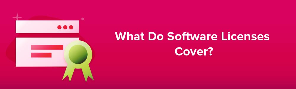 What Do Software Licenses Cover?