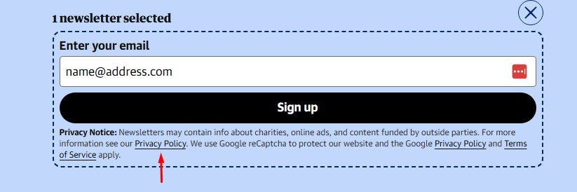 Guardian Website: Link to Privacy Policy is shown in email newsletter